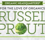 Image https://www.naturalgrocers.com/sites/default/files/styles/resource_finder_176x160/public/media_images/15151_2022_November_HHL_FLOO_BrusselsSprouts_Thumbnail_676x326.jpg?itok=DkY-eRxI