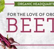 Image https://www.naturalgrocers.com/sites/default/files/styles/resource_finder_176x160/public/media_images/15806_2023_February_HHL_FLOO_Beets_Thumbnail_676x326.jpg?itok=OGvAOzg9