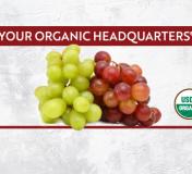 Image https://www.naturalgrocers.com/sites/default/files/styles/resource_finder_176x160/public/media_images/16984_2023_August_eHHL_FLOO_Grapes_Thumbnail_676x326.jpg?itok=qPaPGsyZ