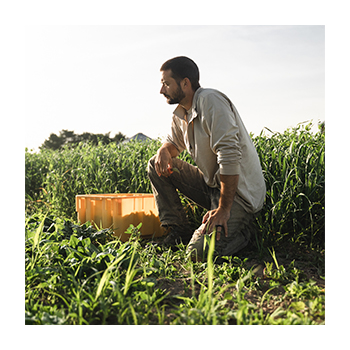 Image of a person kneeling in a field.