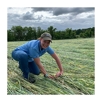 Image of farmer in a field