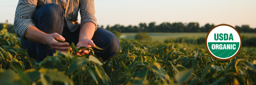 Image of a person kneeling in a farm and USDA Organic Badge