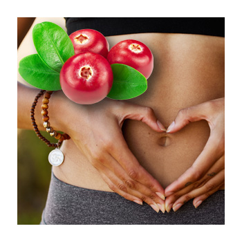 Image of a person making a heart shape with their hands on their stomach and cranberry fruit