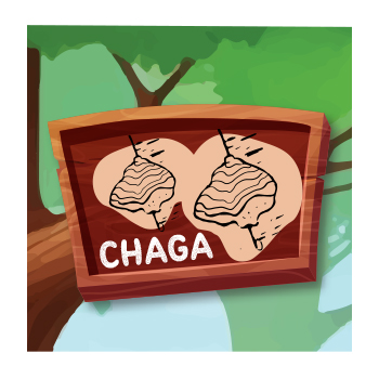 Chaga Mushroom