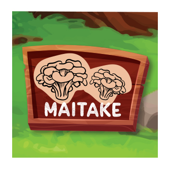 Maitake Mushroom