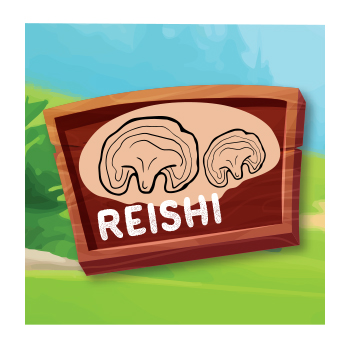 Reishi Mushroom