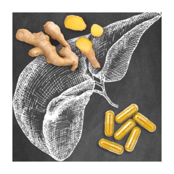 Illustration of a liver with ginger root and supplements