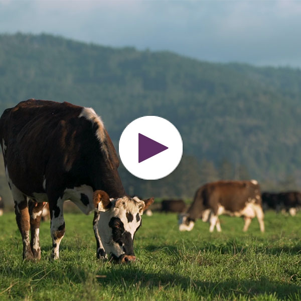 Meet Your Farmer: From the Soil Up