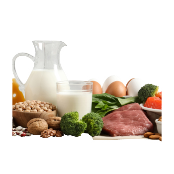 Image of complete protein sources - milk, meats, vegetables, nuts, and eggs