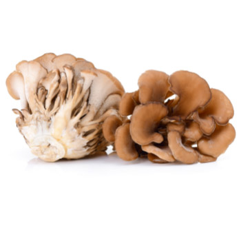 Maitake Mushrooms