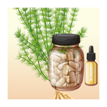 Illustration of a shatavari plant, supplements, and oil