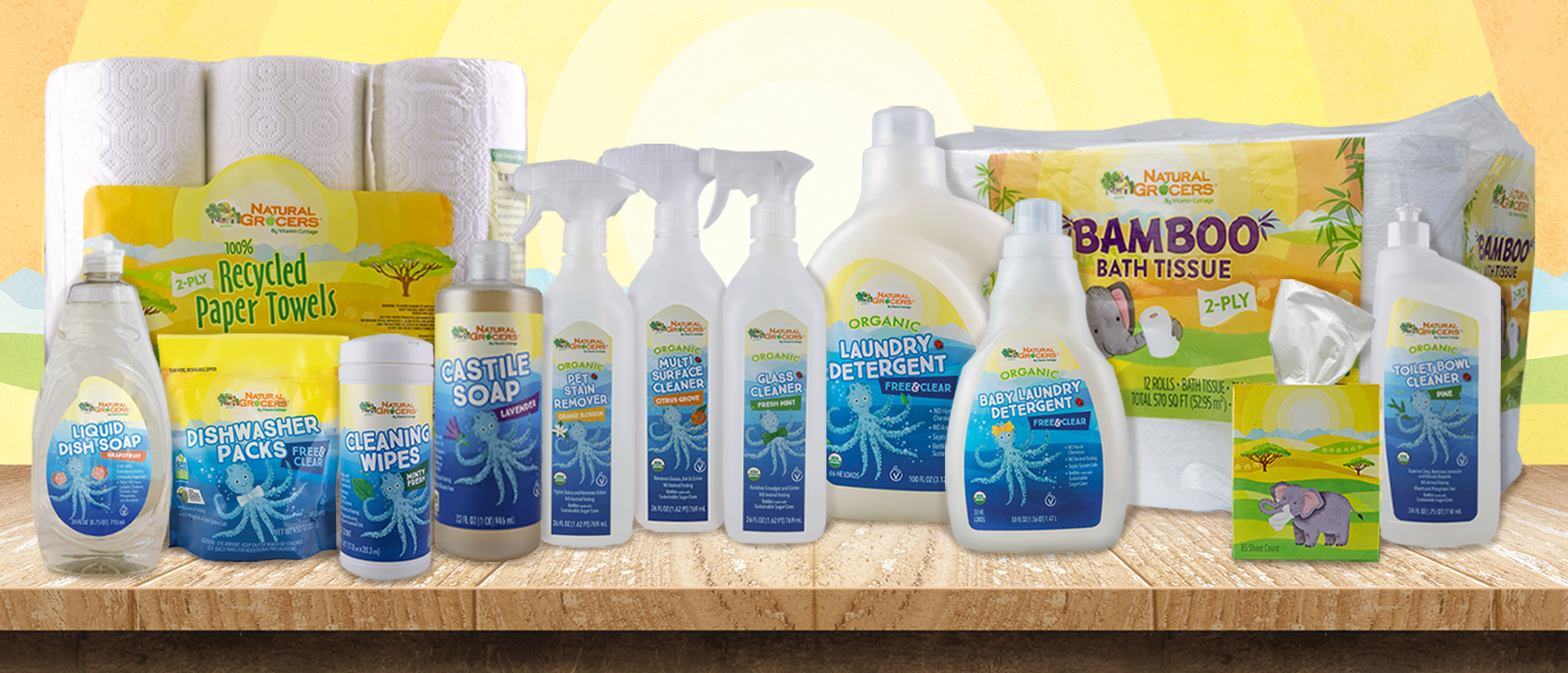 household cleaning products brands
