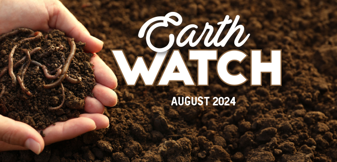 Earth Watch: The World of Life Beneath Our Feet