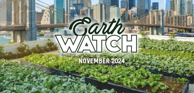 Earth Watch: From Coast to Coast — Urban Farmers, Bird Advocates, and Regenerative Winemakers Cultivating Change!