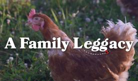 Meet Your Farmer: A Family Leggacy